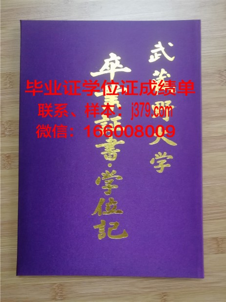 武藏浦和日本学院毕业文凭