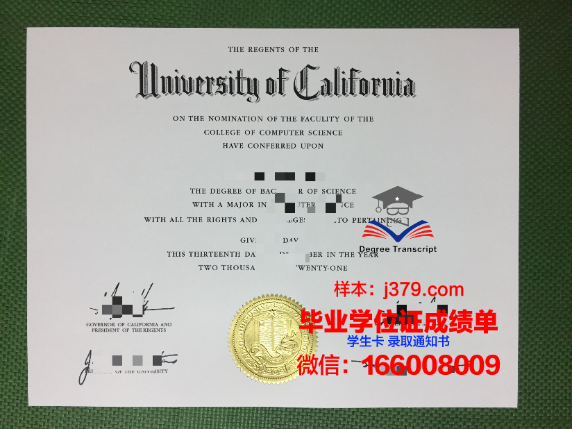 国立技大博士毕业证:一张纸的重量与背后的故事