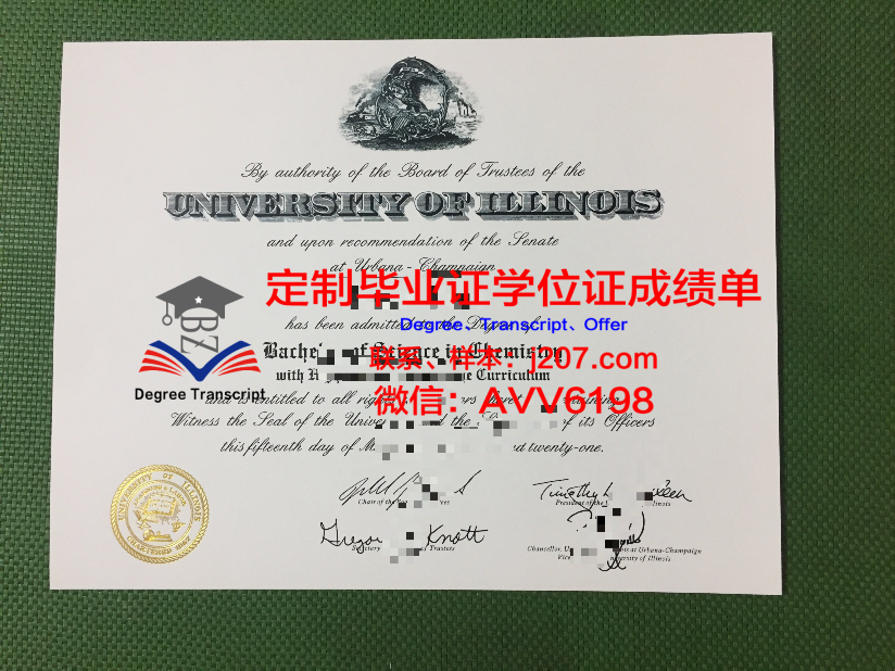 NVD本科学位证：打开国际就业市场的金钥匙