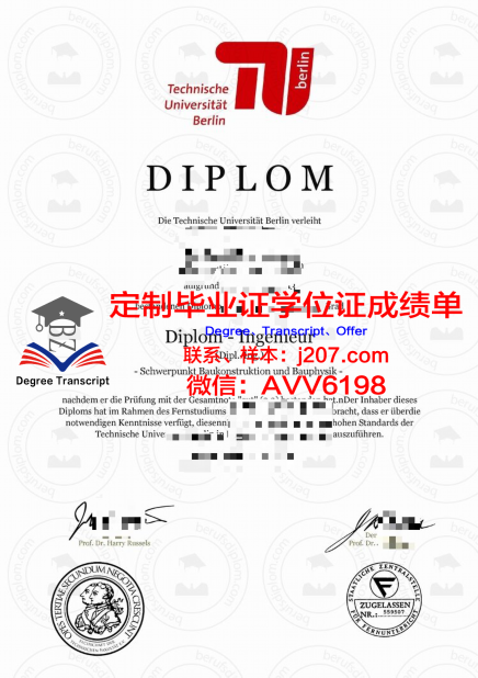 达姆施塔特工业大学毕业证Diploma文凭成绩单