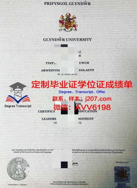 毕业证Diploma文凭成绩单_32