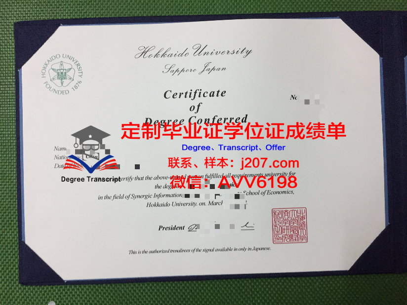 毕业证Diploma文凭成绩单_20