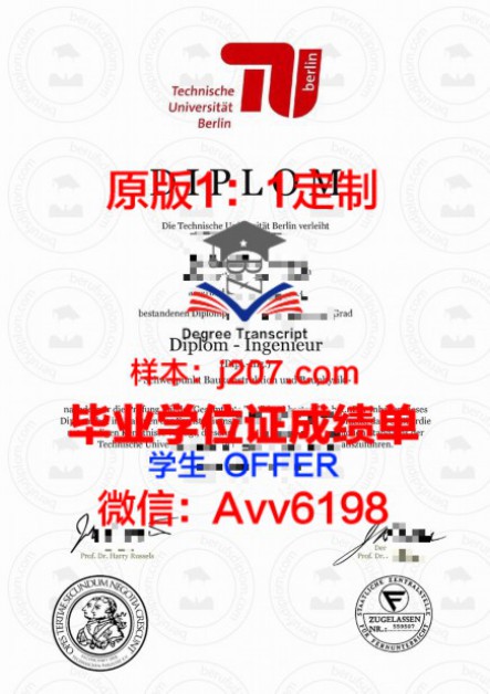 马萨诸塞大学波士顿分校录取通知书 OFFER 定制，开启留学新篇章