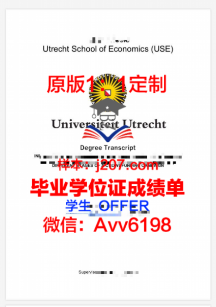 共和国中央大学毕业证好找工作吗(中央大学毕业条件)